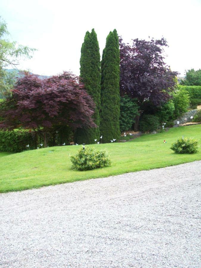 Chalet De Grettery Saulxures-sur-Moselotte Exterior photo